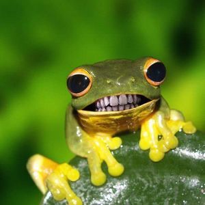 Meet your Posher, Judy